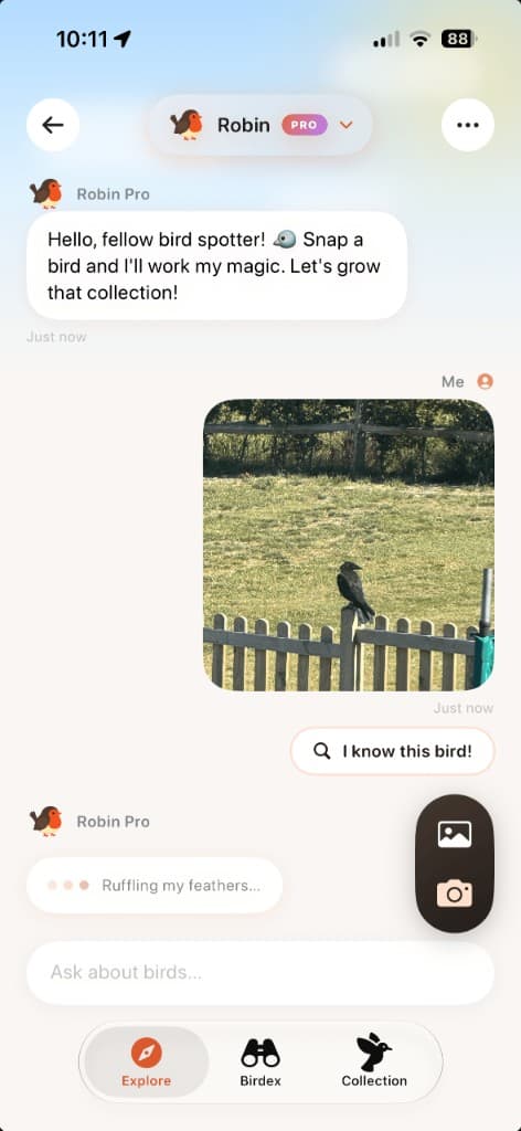 Chatting with Robin about a bird photo