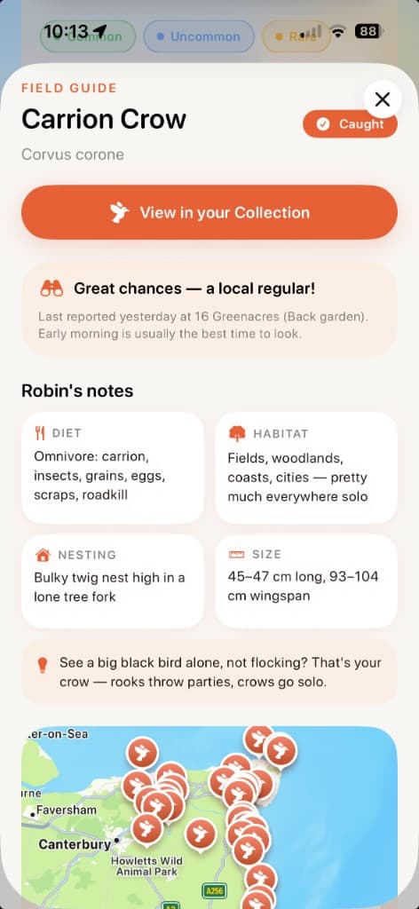 Robin field guide for a Carrion Crow with habitat notes and a map of recent sightings